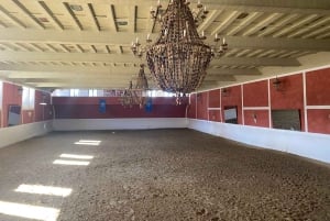 A partir de Málaga: passeio privado por Ronda, incluindo transporte, café, arena de touros, tapas e bebidas