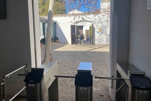 A partir de Málaga: passeio privado por Ronda, incluindo transporte, café, arena de touros, tapas e bebidas