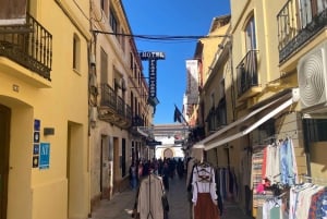 A partir de Málaga: passeio privado por Ronda, incluindo transporte, café, arena de touros, tapas e bebidas