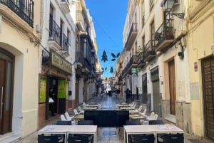 A partir de Málaga: passeio privado por Ronda, incluindo transporte, café, arena de touros, tapas e bebidas