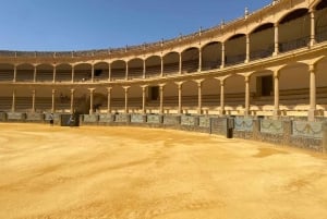 A partir de Málaga: passeio privado por Ronda, incluindo transporte, café, arena de touros, tapas e bebidas