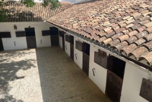 A partir de Málaga: passeio privado por Ronda, incluindo transporte, café, arena de touros, tapas e bebidas