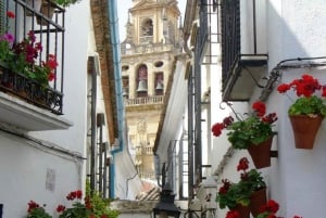 From Seville: Cordoba Full-Day Private Tour