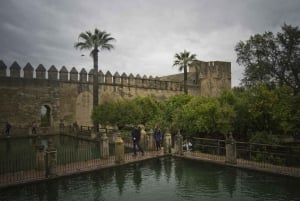 From Seville: Cordoba Full-Day Private Tour