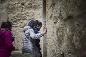 Fra Sevilla: Privat heldagstur til Córdoba