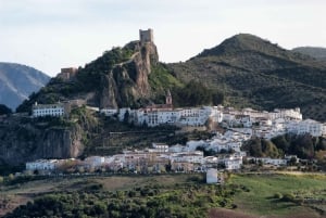 Von Sevilla aus: Private Tagestour nach Cádiz mit Reiseführer