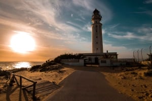 Von Sevilla aus: Private Tagestour nach Cádiz mit Reiseführer