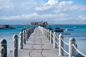 Von Sevilla aus: Private Tagestour nach Cádiz mit Reiseführer