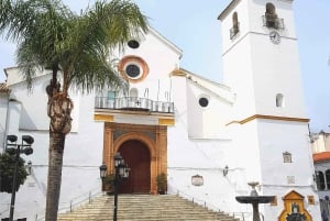 Dalla Costa del Sol. Escursione a Malaga, mulino e mercatino.