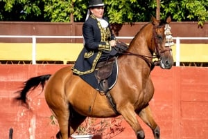 Fuengirola: Spanish Horse Show with Optional Dinner/Flamenco