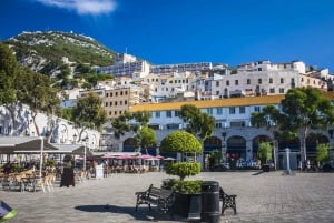 From Malaga and Costa del Sol: Gibraltar Shopping Tour