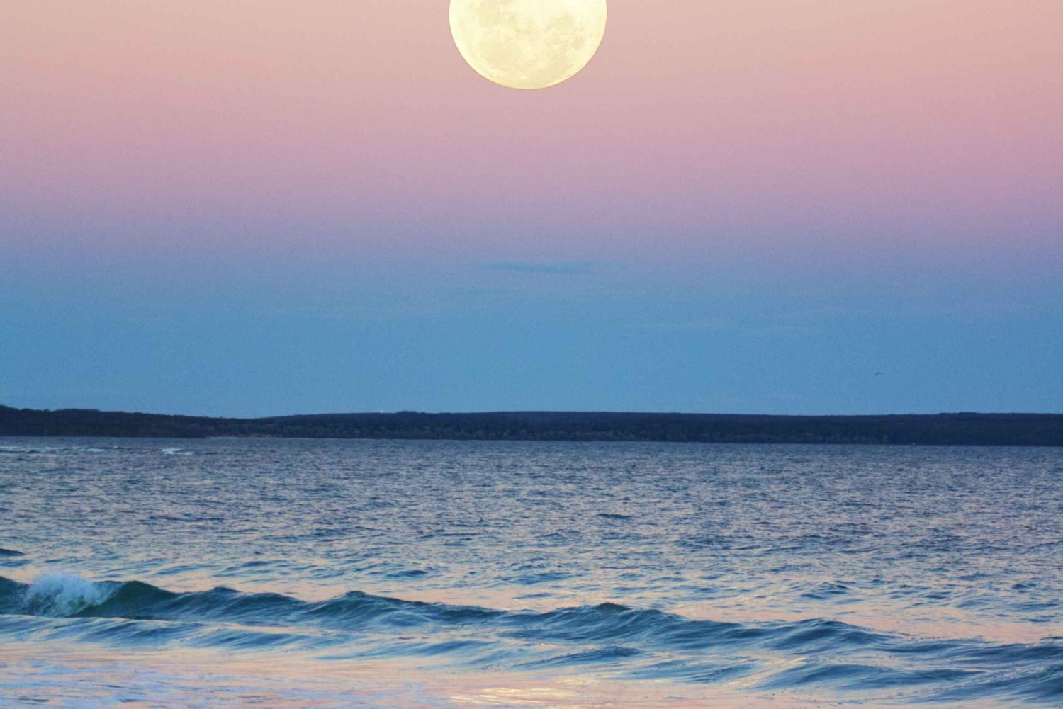 Full Moon Magic – 2h Night Sailing in Sotogrande