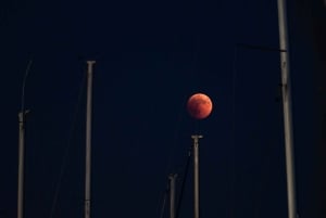 Full Moon Magic – 2h Night Sailing in Sotogrande