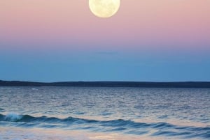 Full Moon Magic – 2h Night Sailing in Sotogrande