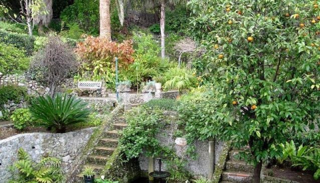 Сады Гибралтарского ботанического сада