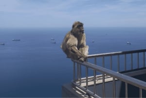 Compras en Gibraltar: Desde Málaga y la Costa del Sol