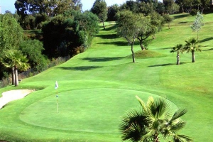 Greenlife Golf