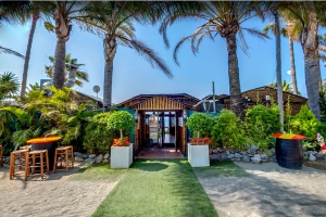 Best Fish Restaurants in Marbella
