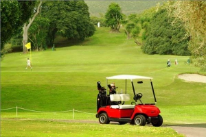 Las Brisas Golf Club