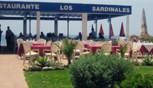 Los Sardinales