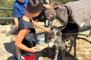 Luksusowa prywatna wycieczka do Tangeru z Kadyksu all inclusive
