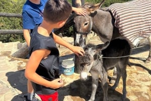 Luksusowa prywatna wycieczka do Tangeru z Malagi all inclusive