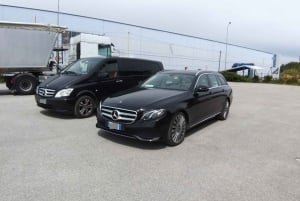 Malaga Airport (AGP): Private Transfer to Marbella