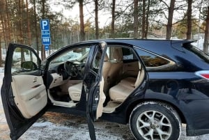 Malaga Lufthavn (AGP): Privat transport til Marbella