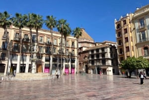 Malaga: long highlights tour with skip-line-tickets