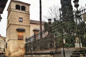 Malaga: lång höjdpunktstur med biljetter som låter dig hoppa över kön