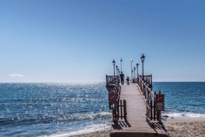Malaga : Marbella et Puerto Banus Circuit privé personnalisable