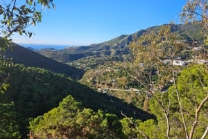 Málaga: Marbella Mountainbike Tour