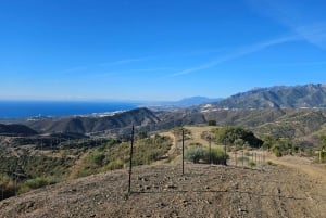 Málaga: Marbella Mountainbike Tour