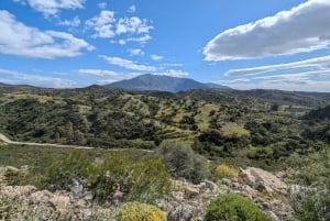 Malaga : randonnée en VTT à Marbella