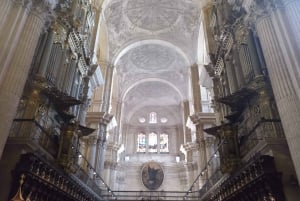 Malaga: Old Tour Walking Tour w/Cathedral & Picasso Museum