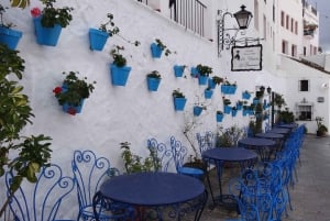 Malaga: Privat dagsudflugt til Mijas