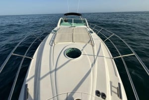 Marbella: privat kryssning på 2–8 timmar med lyxyacht Targa37 eller Targa48