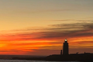 Boottocht in Marbella, snacks, drankjes en muziek