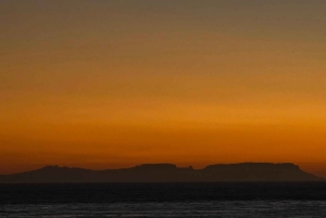 Boottocht in Marbella, snacks, drankjes en muziek