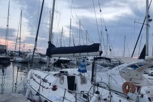 Marbella: Dolphin-Watching Sailboat Trip with Drinks, Snacks