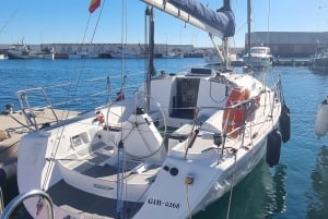 Marbella: Dolphin-Watching Sailboat Trip with Drinks, Snacks