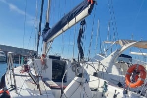 Marbella: Dolphin-Watching Sailboat Trip with Drinks, Snacks