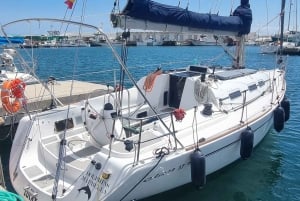 Marbella: Dolphin-Watching Sailboat Trip with Drinks, Snacks