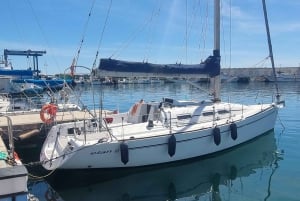 Marbella: Dolphin-Watching Sailboat Trip with Drinks, Snacks