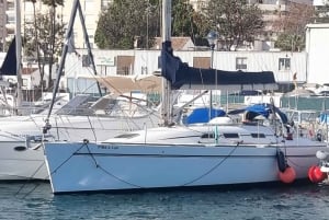 Marbella: Dolphin-Watching Sailboat Trip with Drinks, Snacks