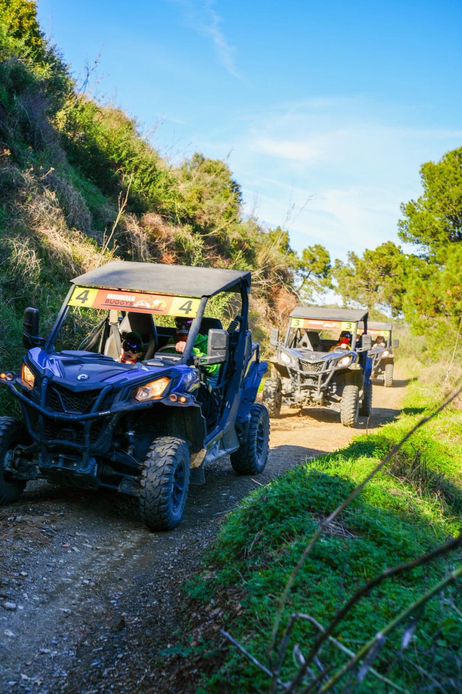 Marbella Buggys