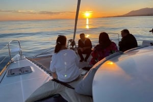 Marbella: Katamaran-solnedgangscruise med drikke og snacks