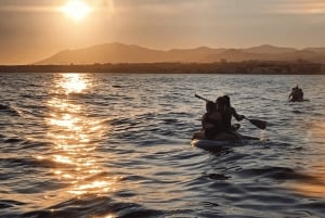 Marbella: Katamaran-solnedgangscruise med drikke og snacks