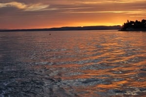 Marbella: Katamaran-solnedgangscruise med drikke og snacks