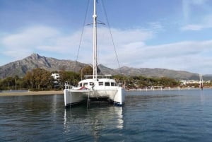 Marbella: Group Dolphin Watching Catamaran Tour with Drinks